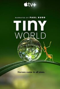 دانلود مستند Tiny World52124-35136932