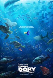 دانلود انیمیشن Finding Dory 201658678-949623919