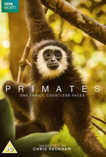 دانلود مستند Primates77865-1579308196