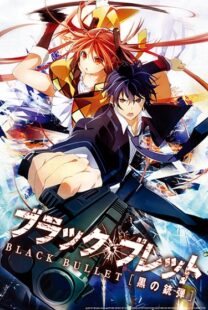 دانلود انیمه Black Bullet400454-773861801
