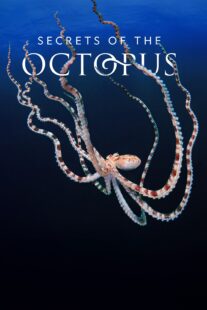 دانلود سریال Secrets of the Octopus401286-1531068431