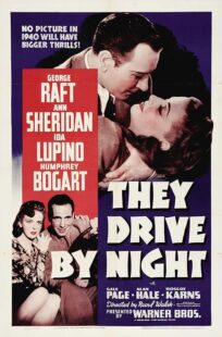 دانلود فیلم They Drive by Night 1940411221-1800528188