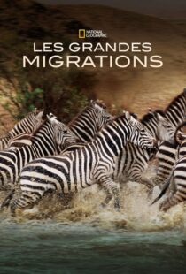 دانلود مستند Great Migrations417146-2079294089