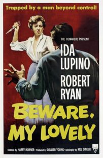 دانلود فیلم Beware, My Lovely 1952420627-954652446