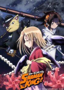 دانلود انیمه Shaman King422246-90233973