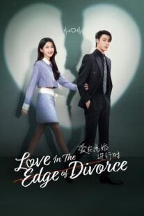 دانلود سریال Love in the Edge of Divorce426889-529272224