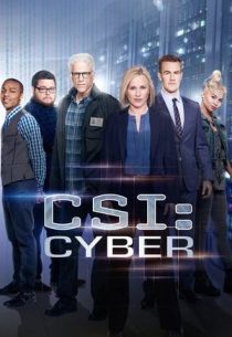 دانلود سریال CSI: Cyber428329-1970569243