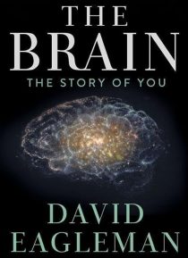 دانلود سریال The Brain with Dr. David Eagleman428613-254474380
